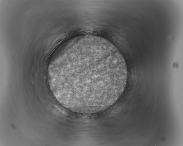 X0000111361105200907241215