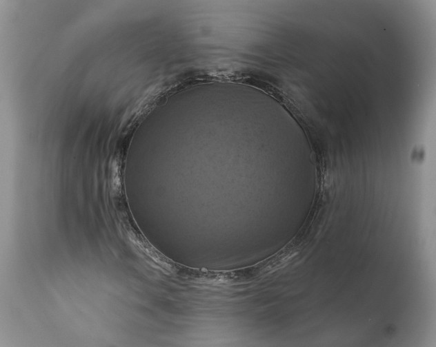 X0000111361106200907241215