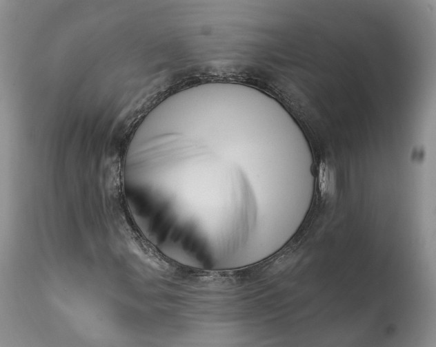 X0000111361107200907241215