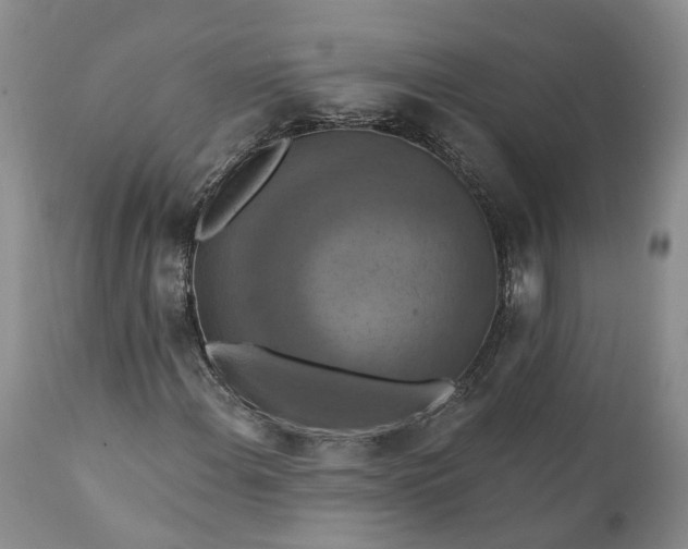 X0000111361108200907241215