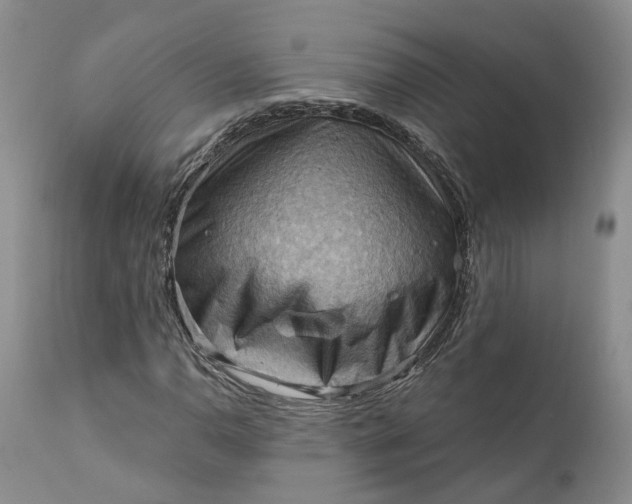 X0000111361110200907241215