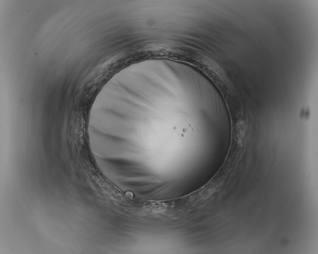 X0000111361111200907241215