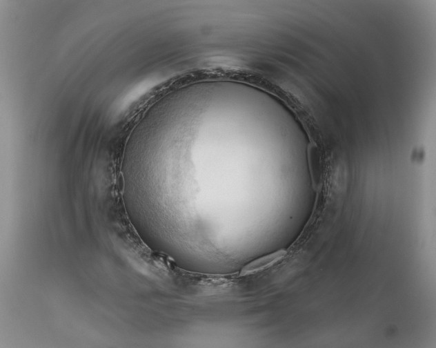 X0000111361112200907241215