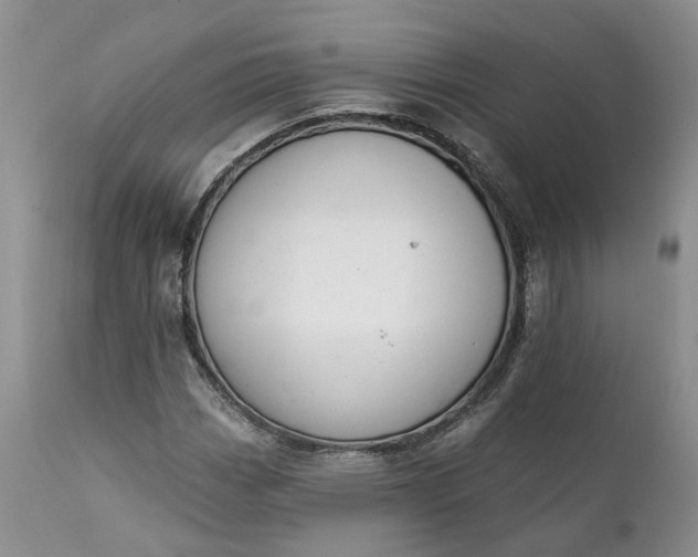 X0000111361113200907241215
