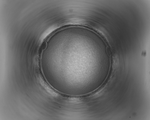 X0000111361114200907241215