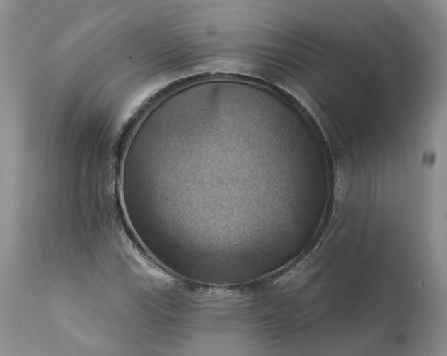 X0000111361115200907241215