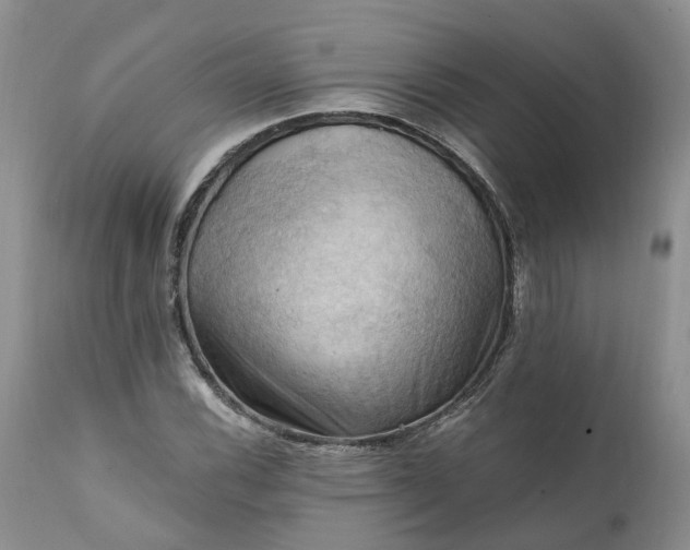 X0000111361116200907241215