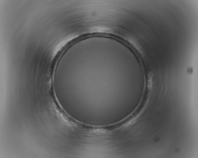 X0000111361117200907241215