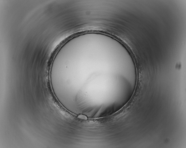 X0000111361119200907241215