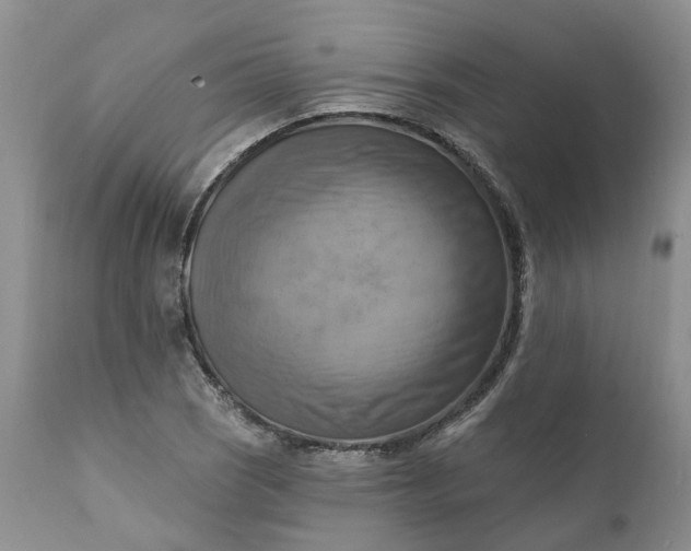 X0000111361121200907241215
