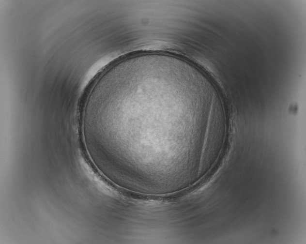 X0000111361122200907241215