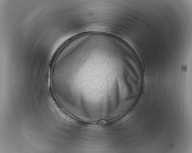 X0000111361123200907241216