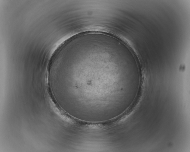 X0000111361125200907241216