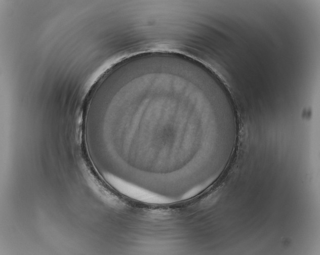 X0000111361126200907241216