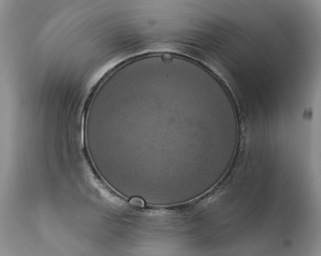 X0000111361127200907241216