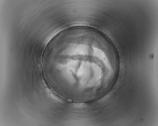 X0000111361129200907241216