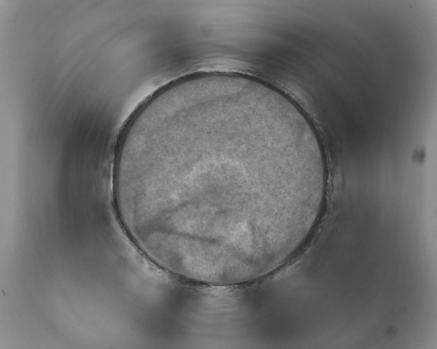 X0000111361130200907241216