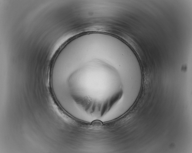 X0000111361131200907241216