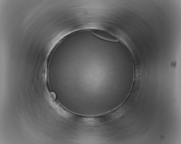 X0000111361132200907241216