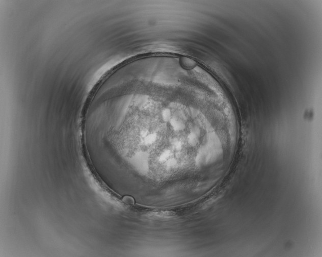 X0000111361133200907241216