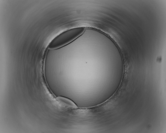X0000111361134200907241216