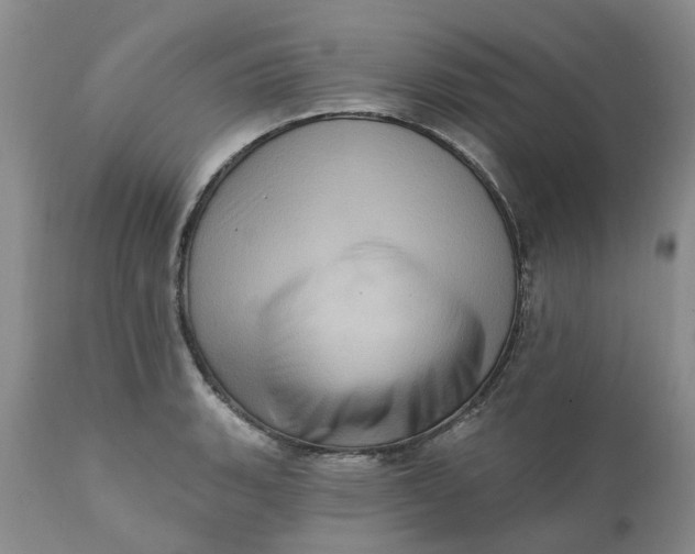 X0000111361135200907241216
