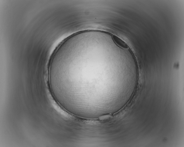 X0000111361136200907241216