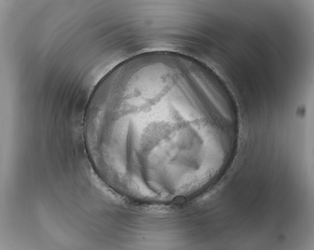X0000111361137200907241216