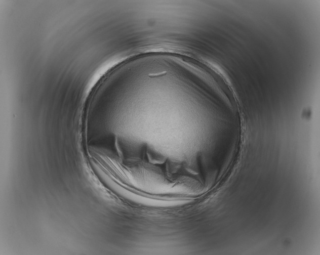 X0000111361138200907241216