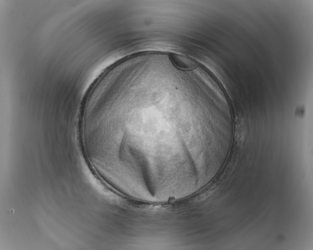 X0000111361139200907241216