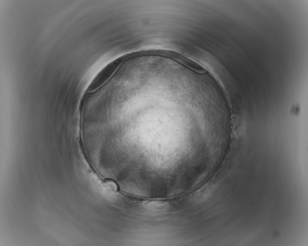 X0000111361140200907241216