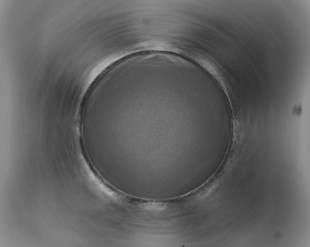 X0000111361141200907241216