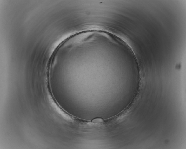 X0000111361142200907241216