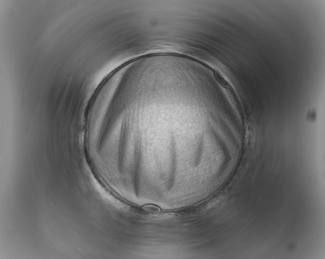 X0000111361143200907241216