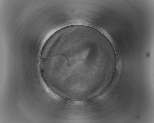 X0000111361144200907241216