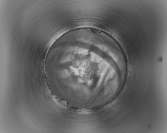 X0000111361145200907241216