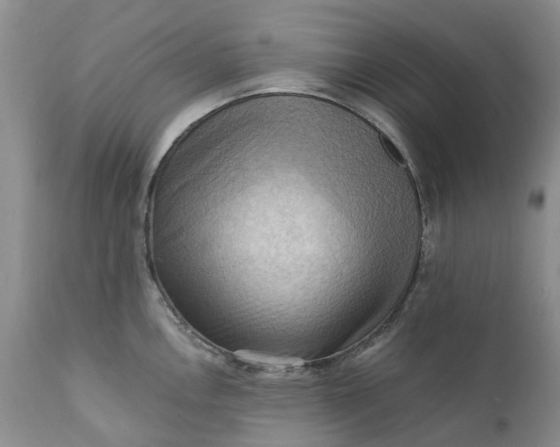 X0000111361146200907241216