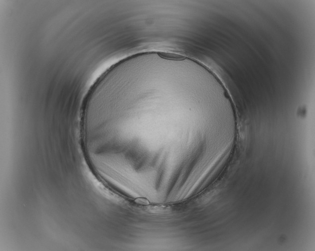 X0000111361147200907241216