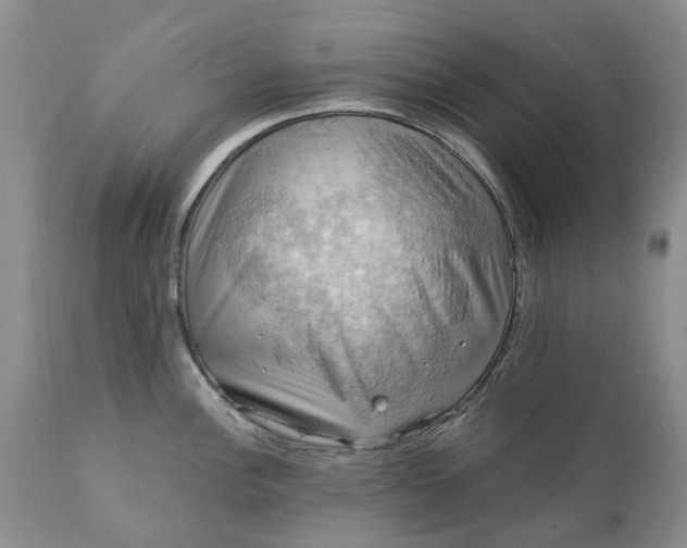 X0000111361148200907241216