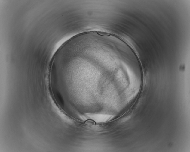 X0000111361149200907241216