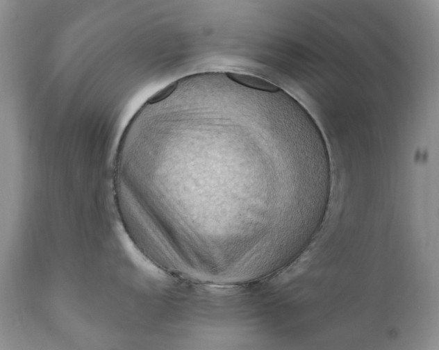 X0000111361152200907241216