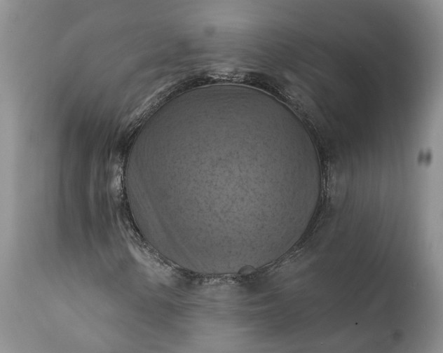 X0000111361154200907241215