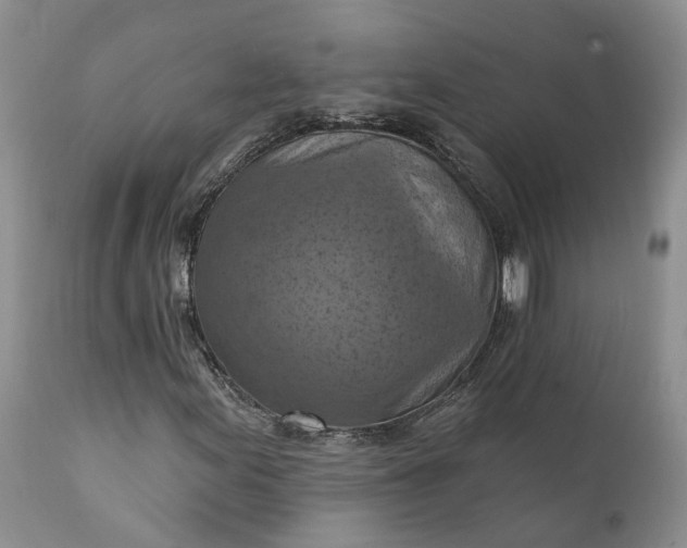 X0000111361155200907241215