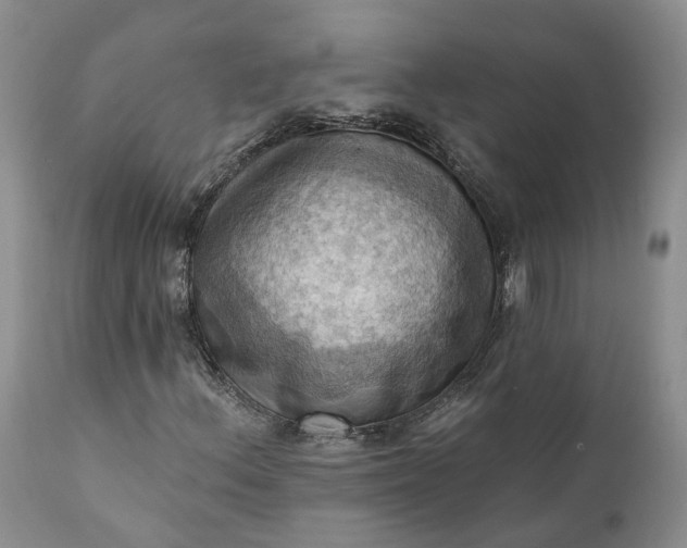 X0000111361156200907241215