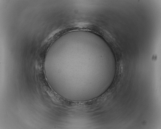 X0000111361158200907241215