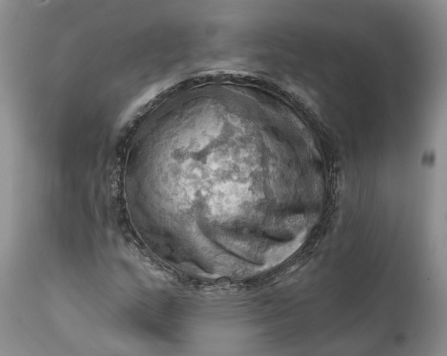 X0000111361159200907241215