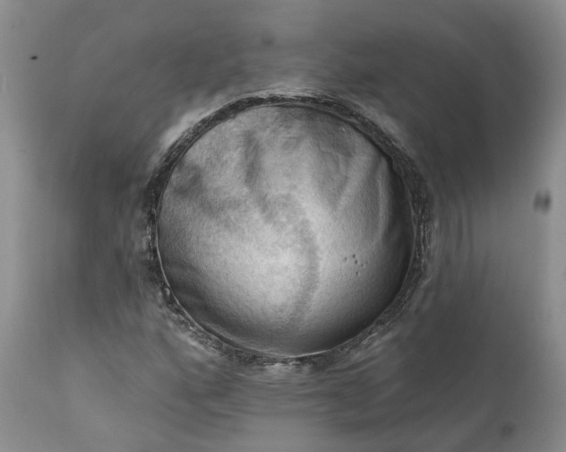 X0000111361160200907241215