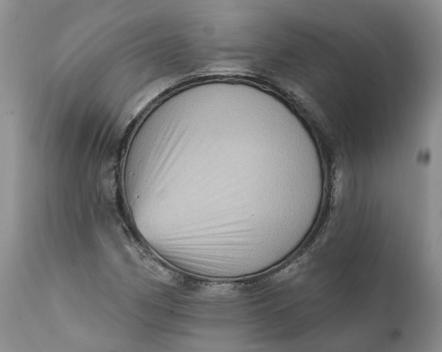 X0000111361162200907241215