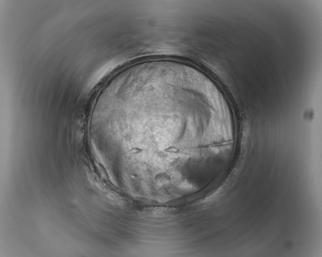 X0000111361163200907241215