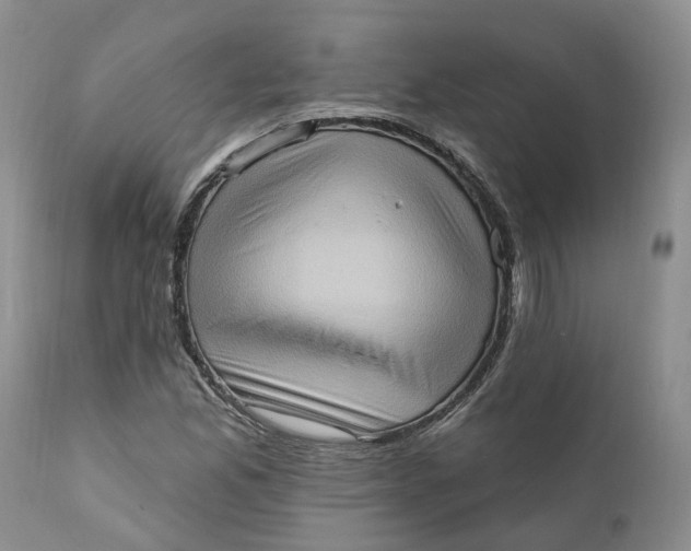 X0000111361165200907241215